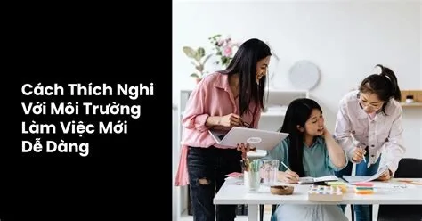 Môi Trường Làm Việc Mới Bí Quyết để Nhanh Chóng Thích Nghi cho các bạn sinh viên thất nghiệp