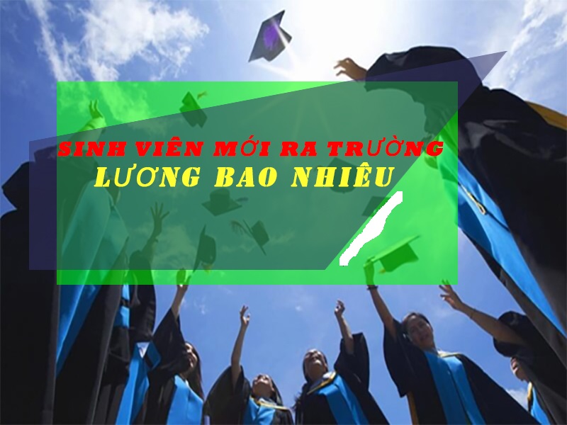 Muc-luong-ky-vong-Cho-Sinh-Vien-moi-ra-truong-la-bao-nhieu