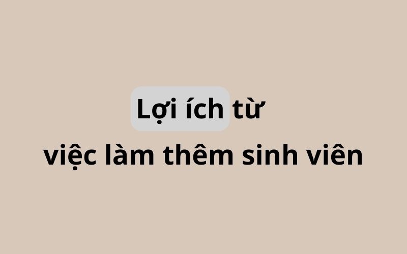 Việc làm thêm thời vụ tăng thu nhập cho Sinh Viên